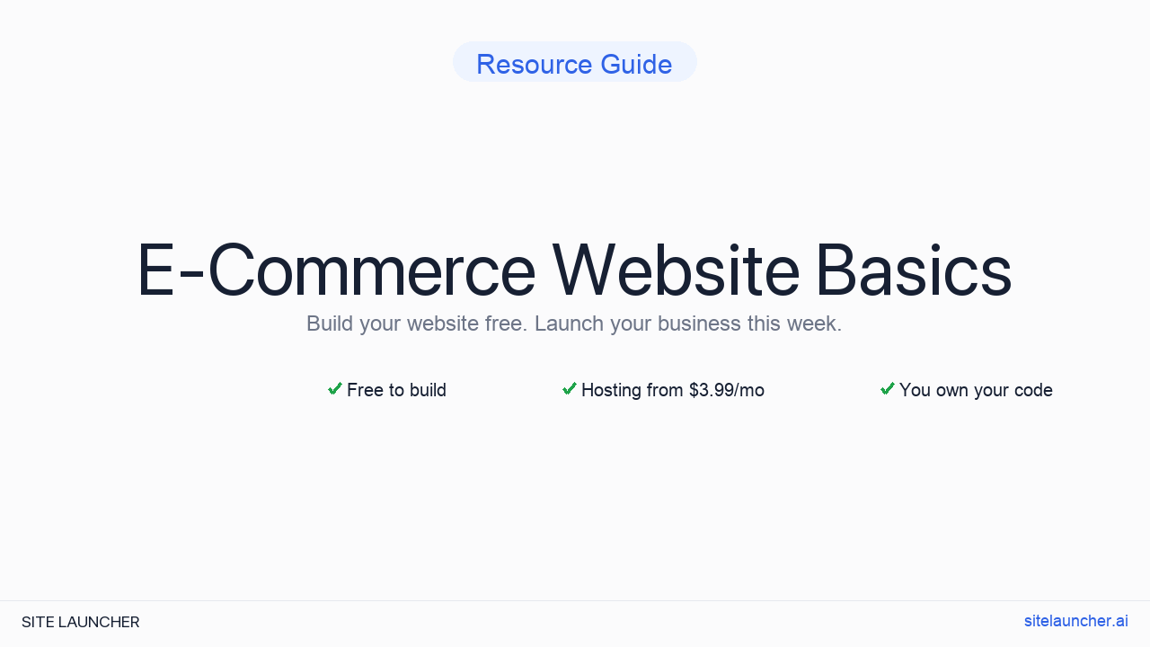 E-Commerce Website Basics