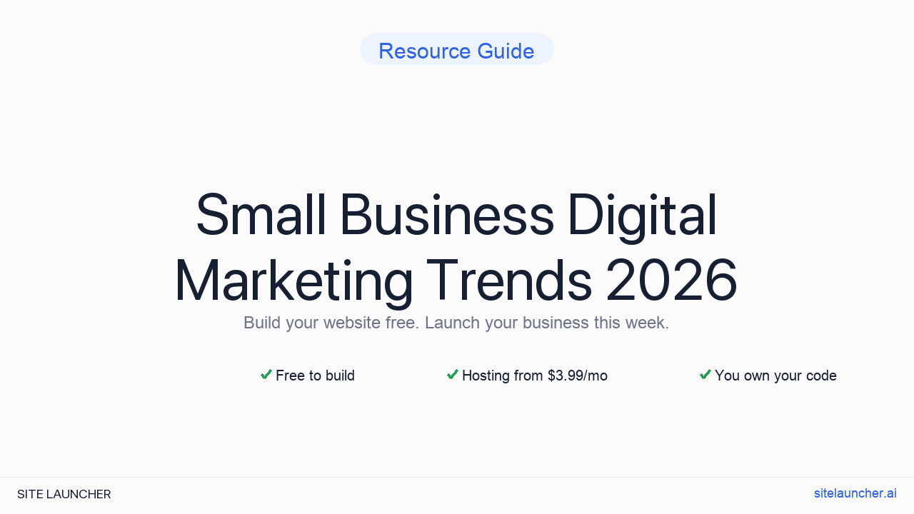 Small Business Digital Marketing Trends 2026