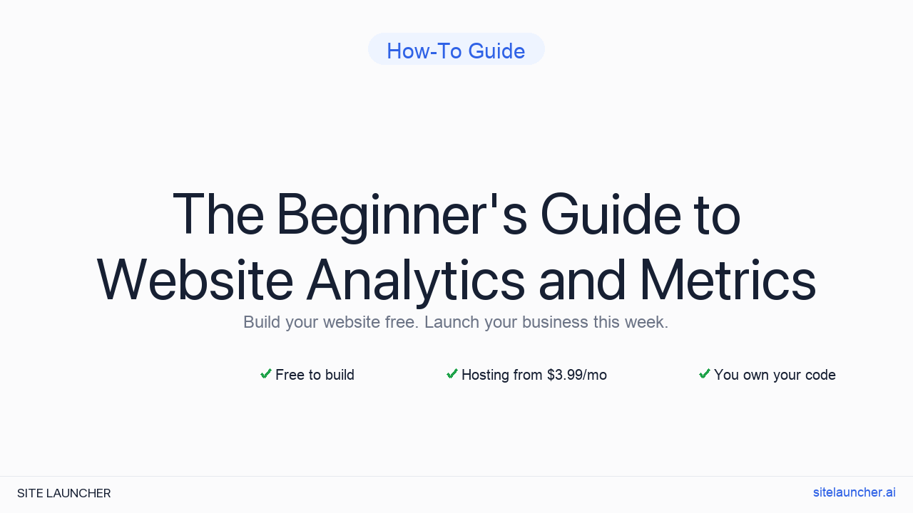 The Beginner's Guide to Website Analytics and Metrics