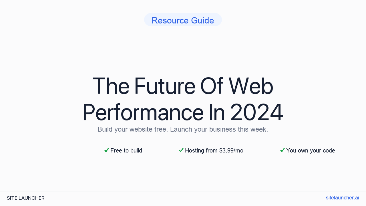 The Future Of Web Performance In 2024