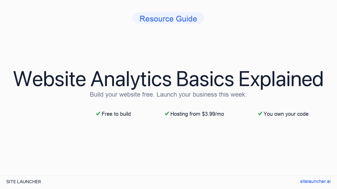 Website Analytics Basics Explained