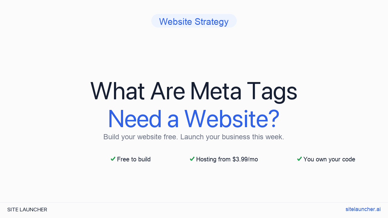 What Are Meta Tags
